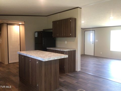 Tiny photo for 2794 Newport Highway, Greeneville, TN 37743 (MLS # 9982910)