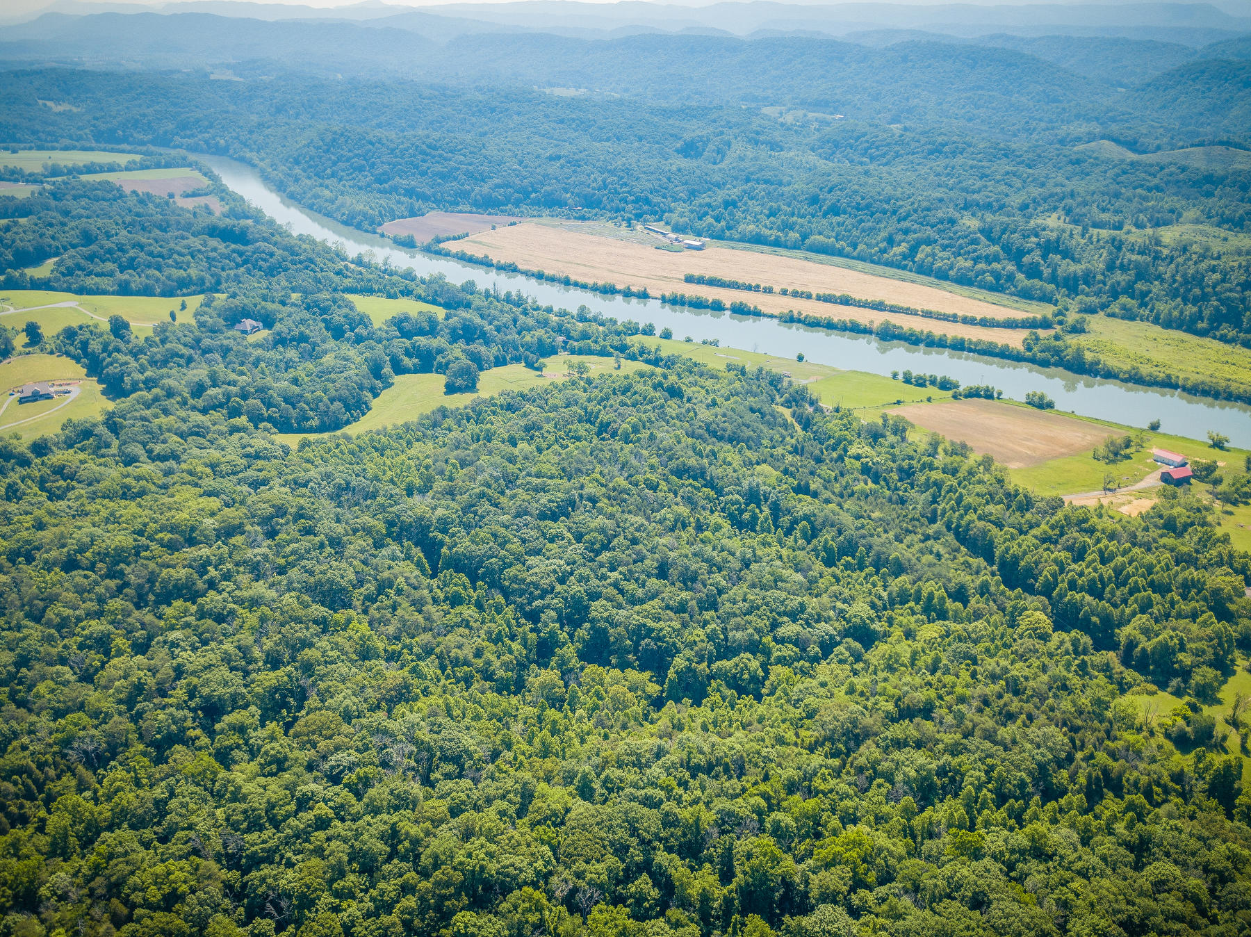 Williams Lane, Rogersville, Tennessee image 13