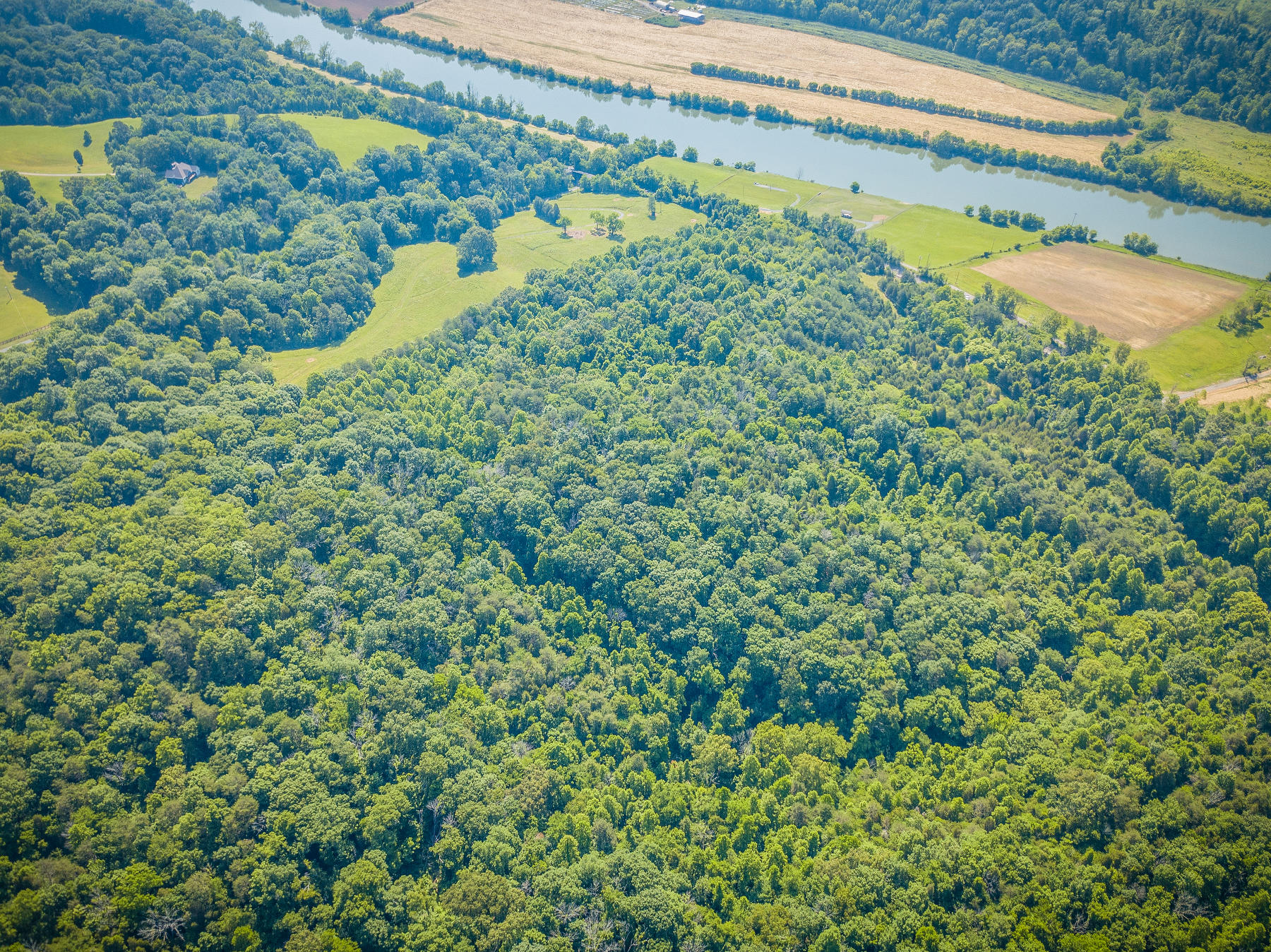Williams Lane, Rogersville, Tennessee image 6