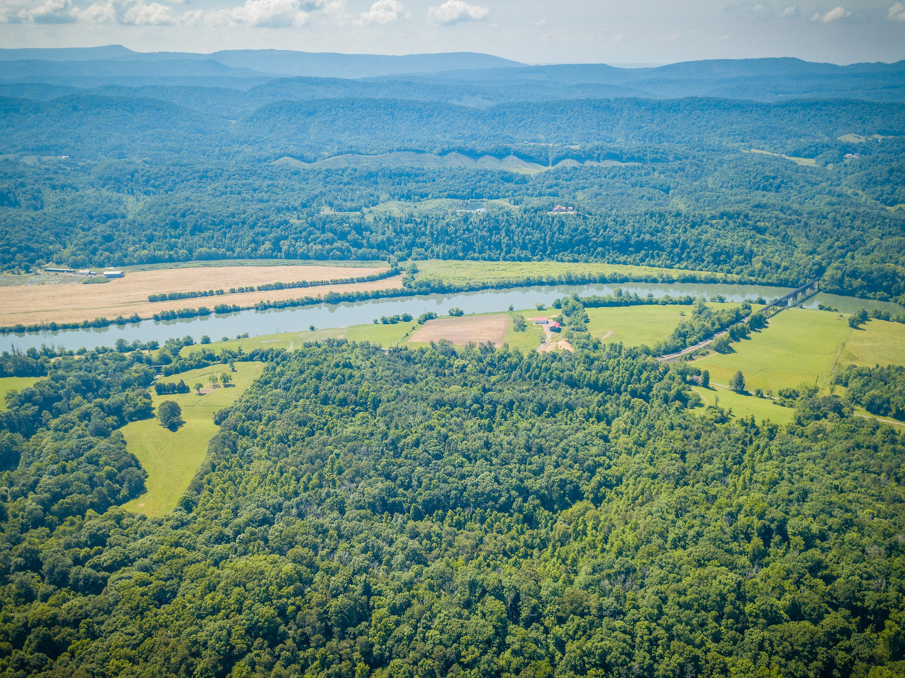 Williams Lane, Rogersville, Tennessee image 14