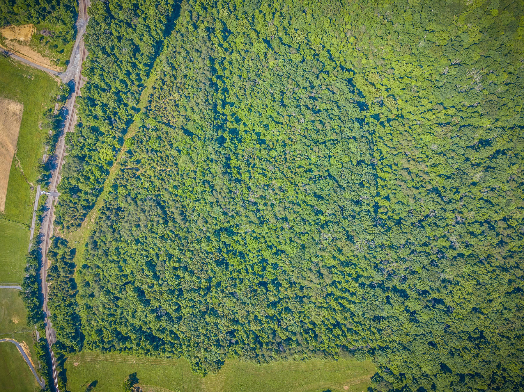 Williams Lane, Rogersville, Tennessee image 9