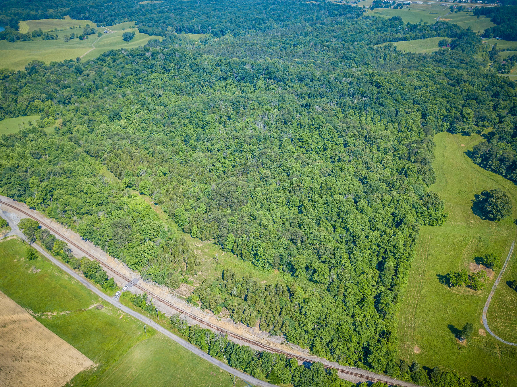 Williams Lane, Rogersville, Tennessee image 3