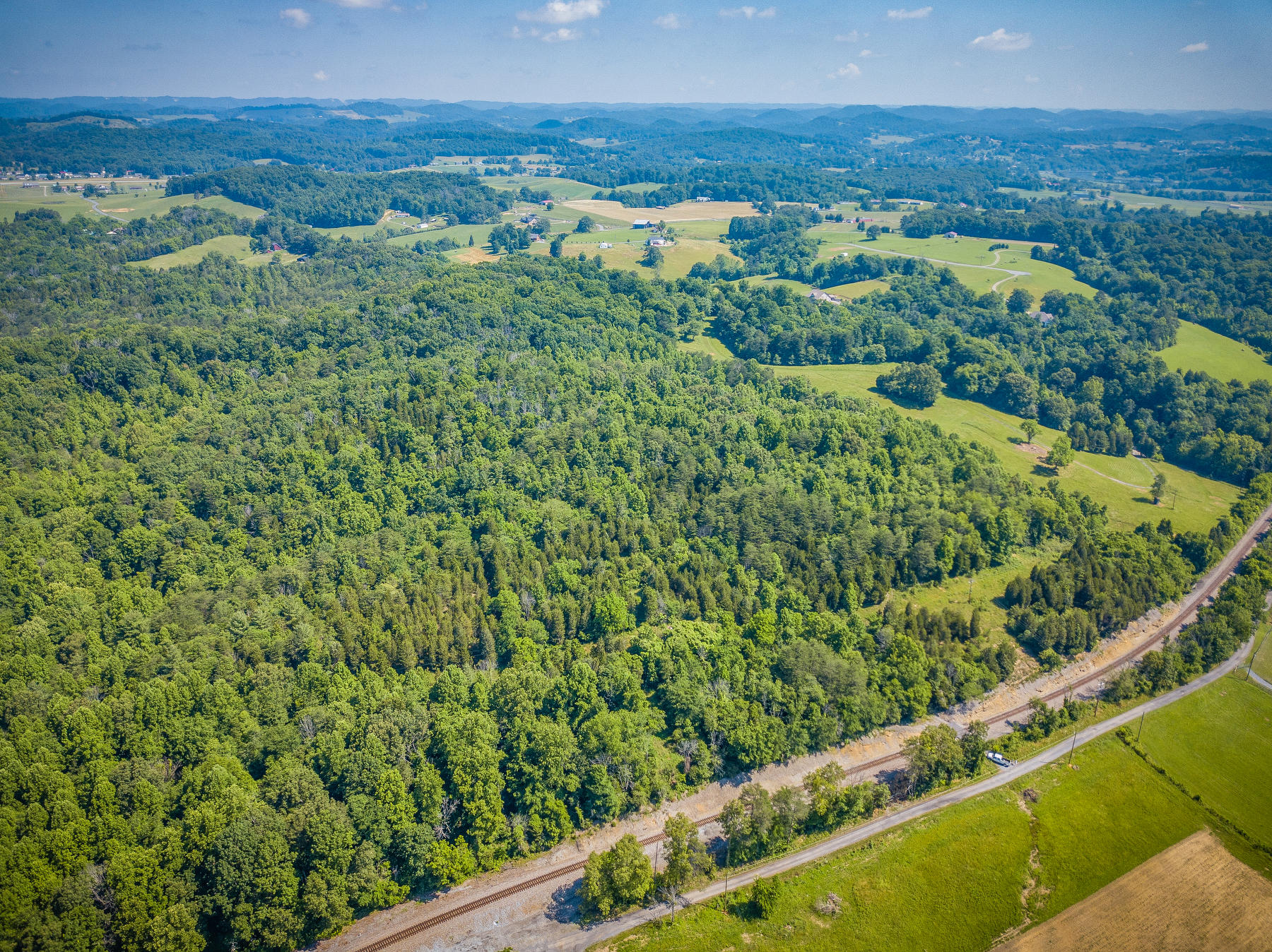 Williams Lane, Rogersville, Tennessee image 12