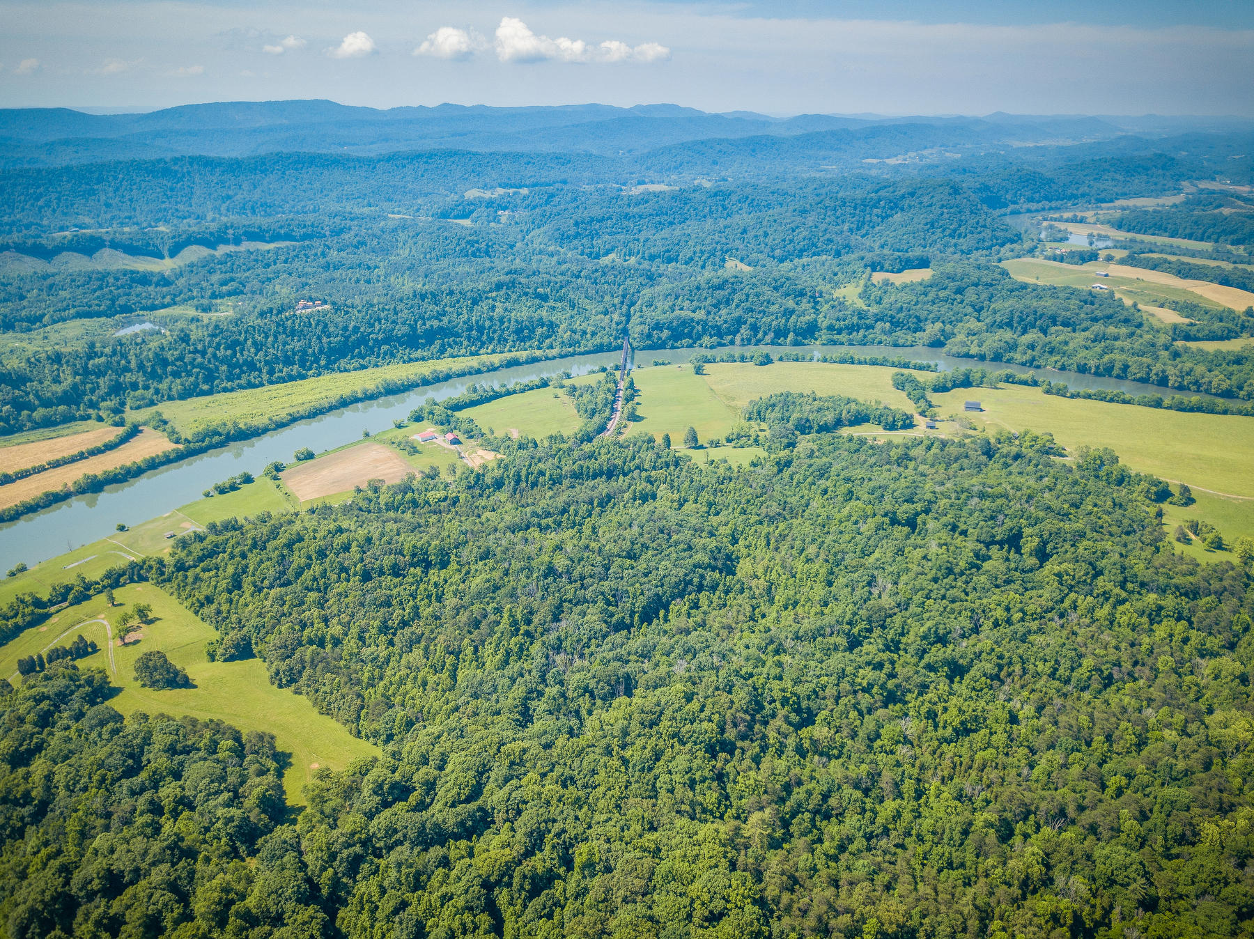 Williams Lane, Rogersville, Tennessee image 15