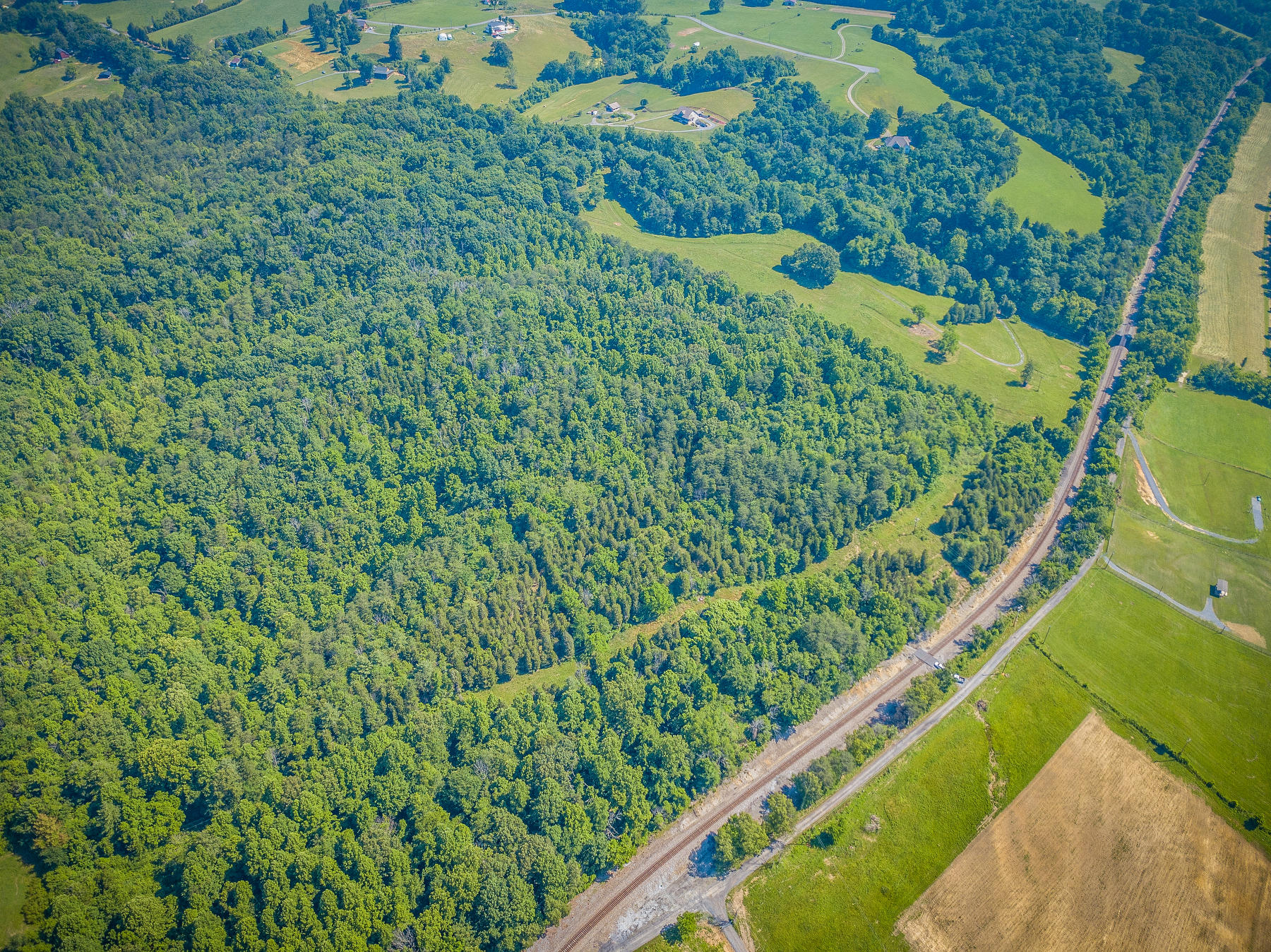 Williams Lane, Rogersville, Tennessee image 8