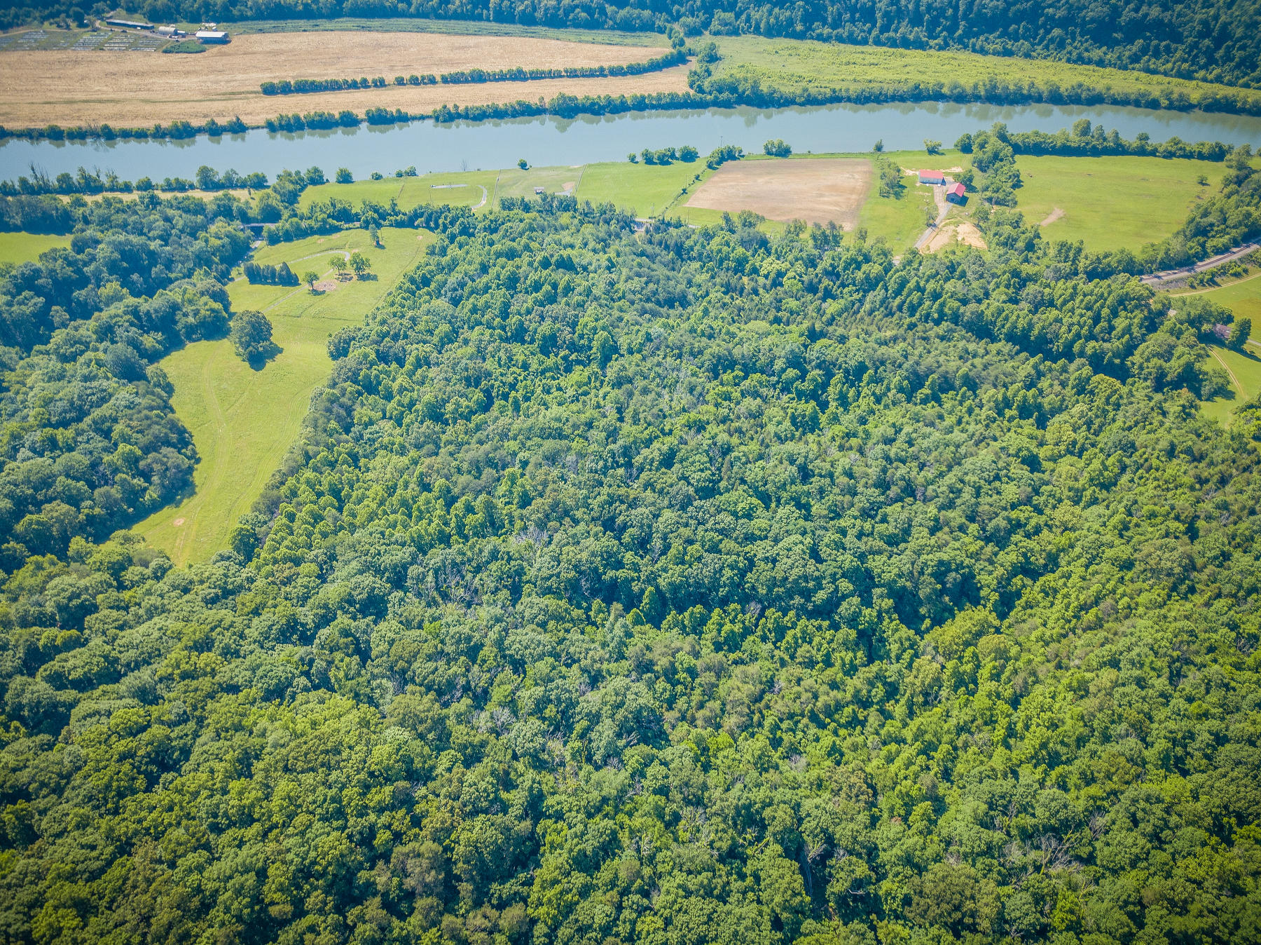 Williams Lane, Rogersville, Tennessee image 5