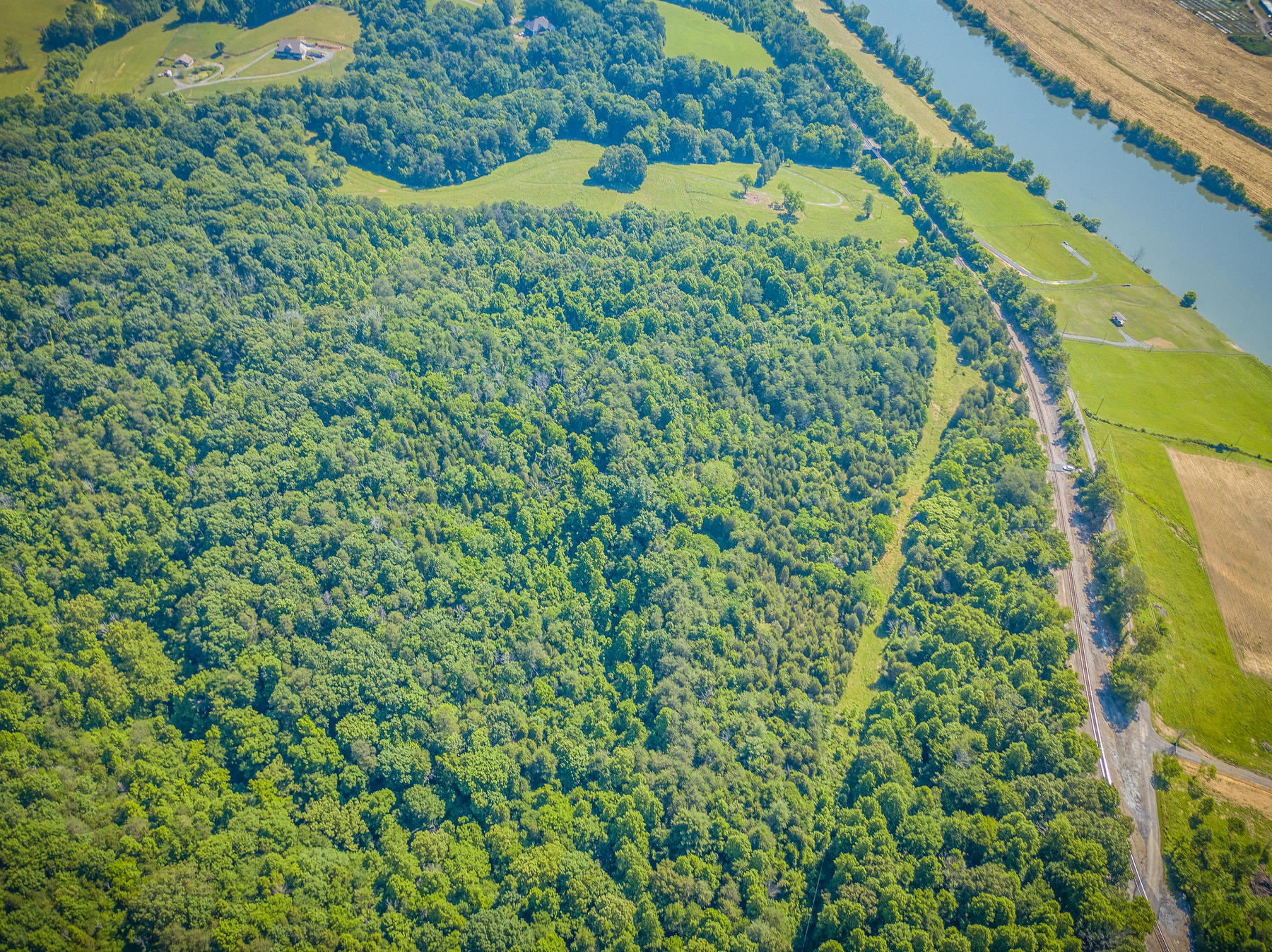 Williams Lane, Rogersville, Tennessee image 7