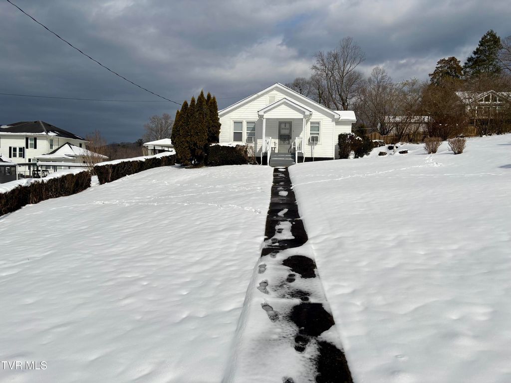 Photo of 313 School Street, Erwin, TN 37650 (MLS # 9990868)