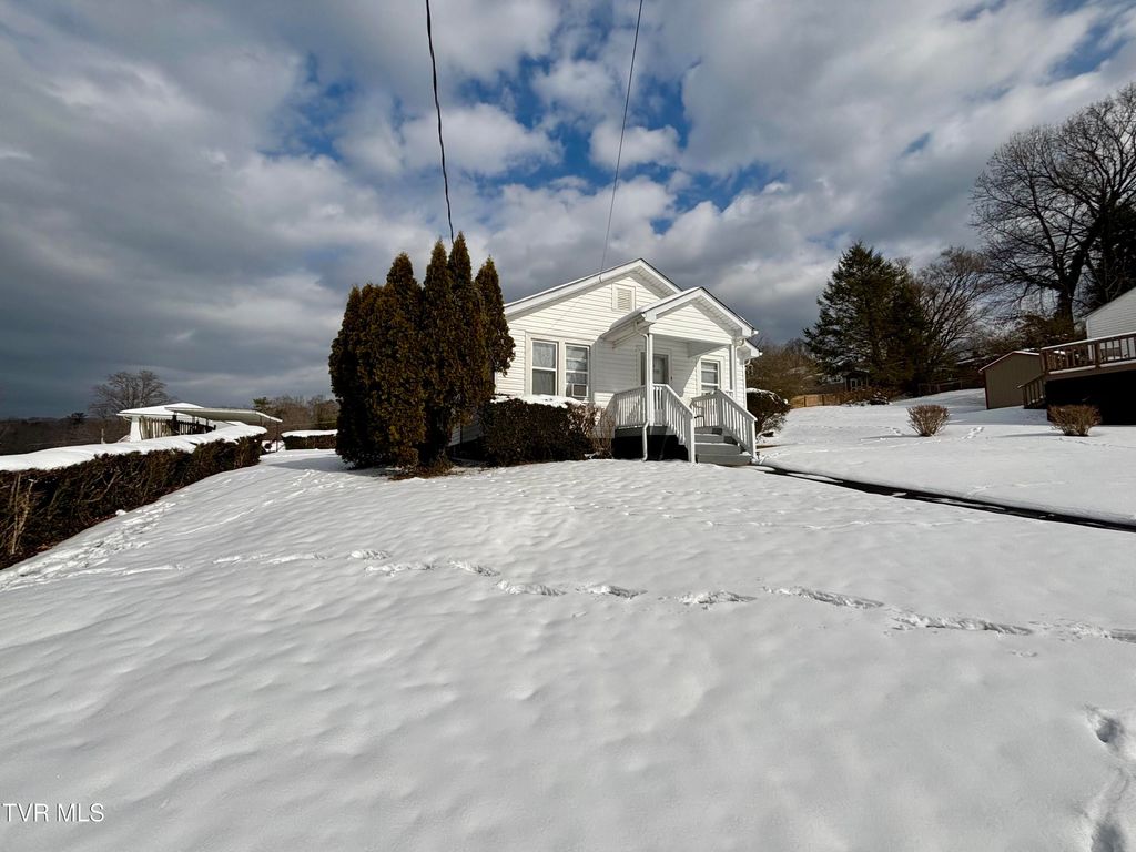 Photo of 313 School Street, Erwin, TN 37650 (MLS # 9990868)