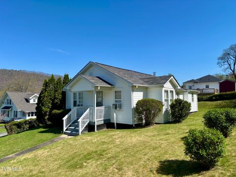 Homes For Sale - 313 School Street<br/> Unicoi County, Erwin, TN 37650