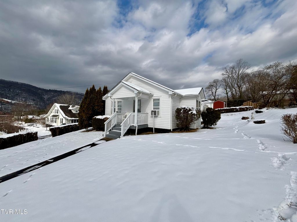 Photo of 313 School Street, Erwin, TN 37650 (MLS # 9990868)