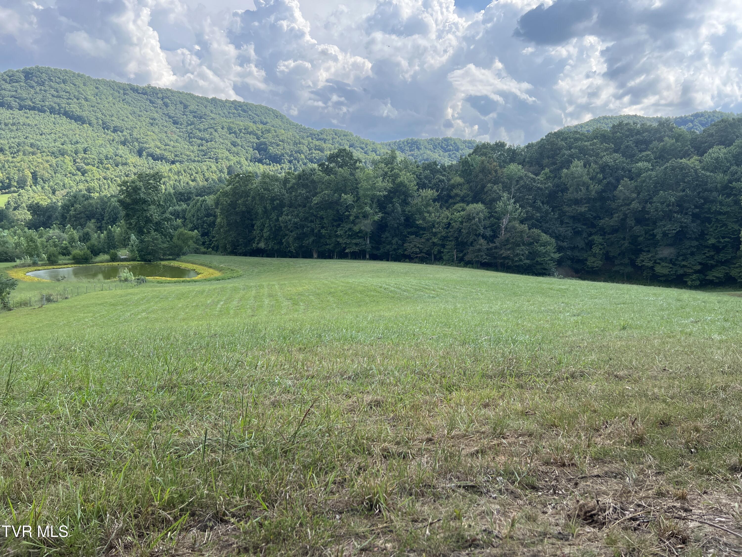 11/Ac Tbd Houston Valley Road, Greeneville, Tennessee image 1