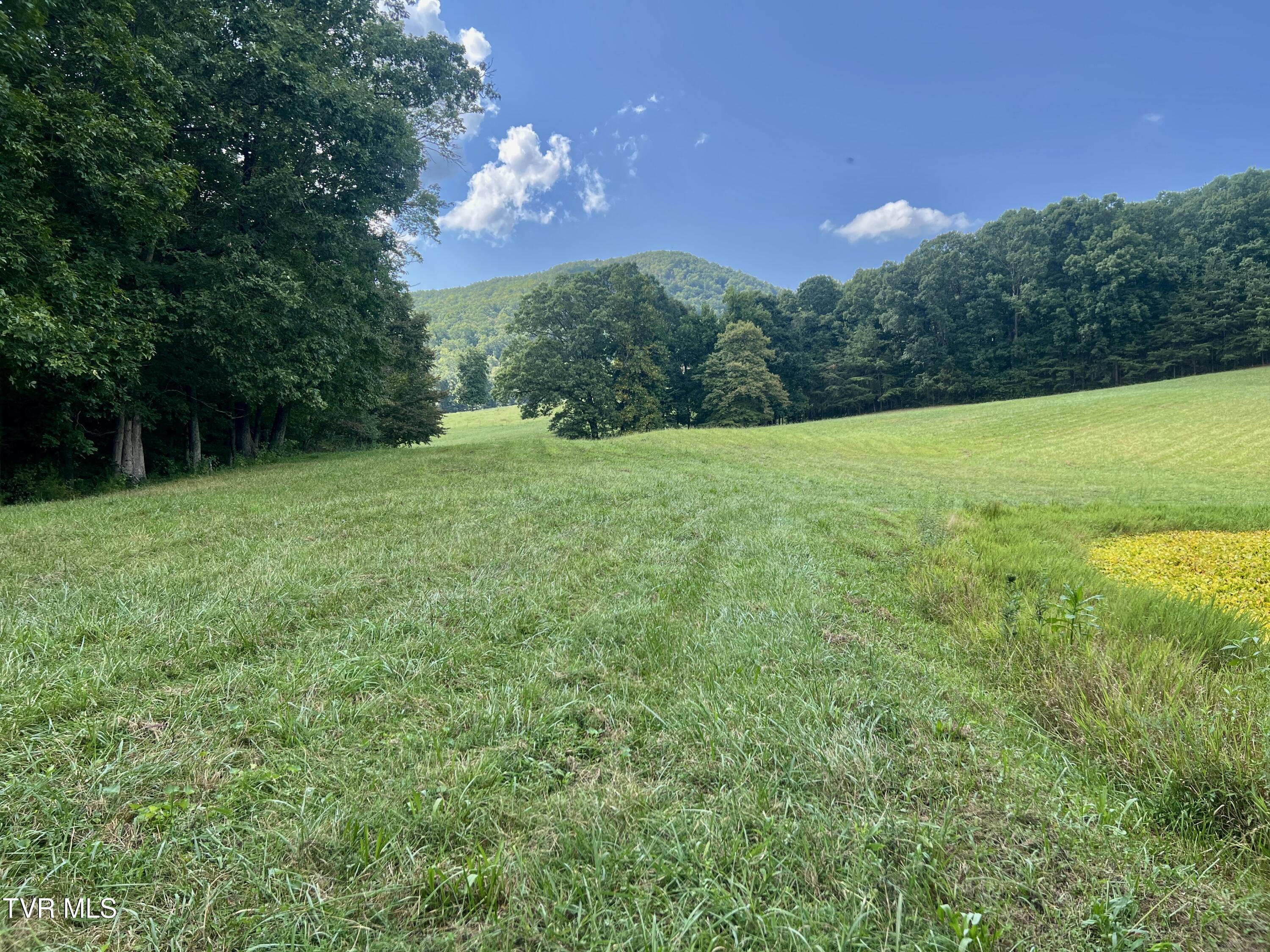 11/Ac Tbd Houston Valley Road, Greeneville, Tennessee image 17