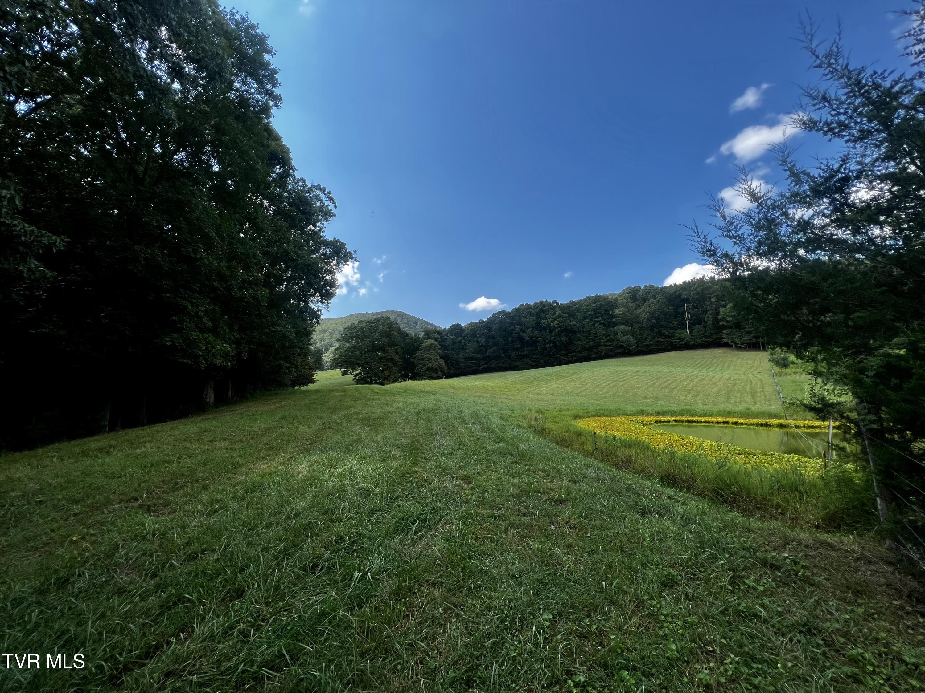 11/Ac Tbd Houston Valley Road, Greeneville, Tennessee image 21