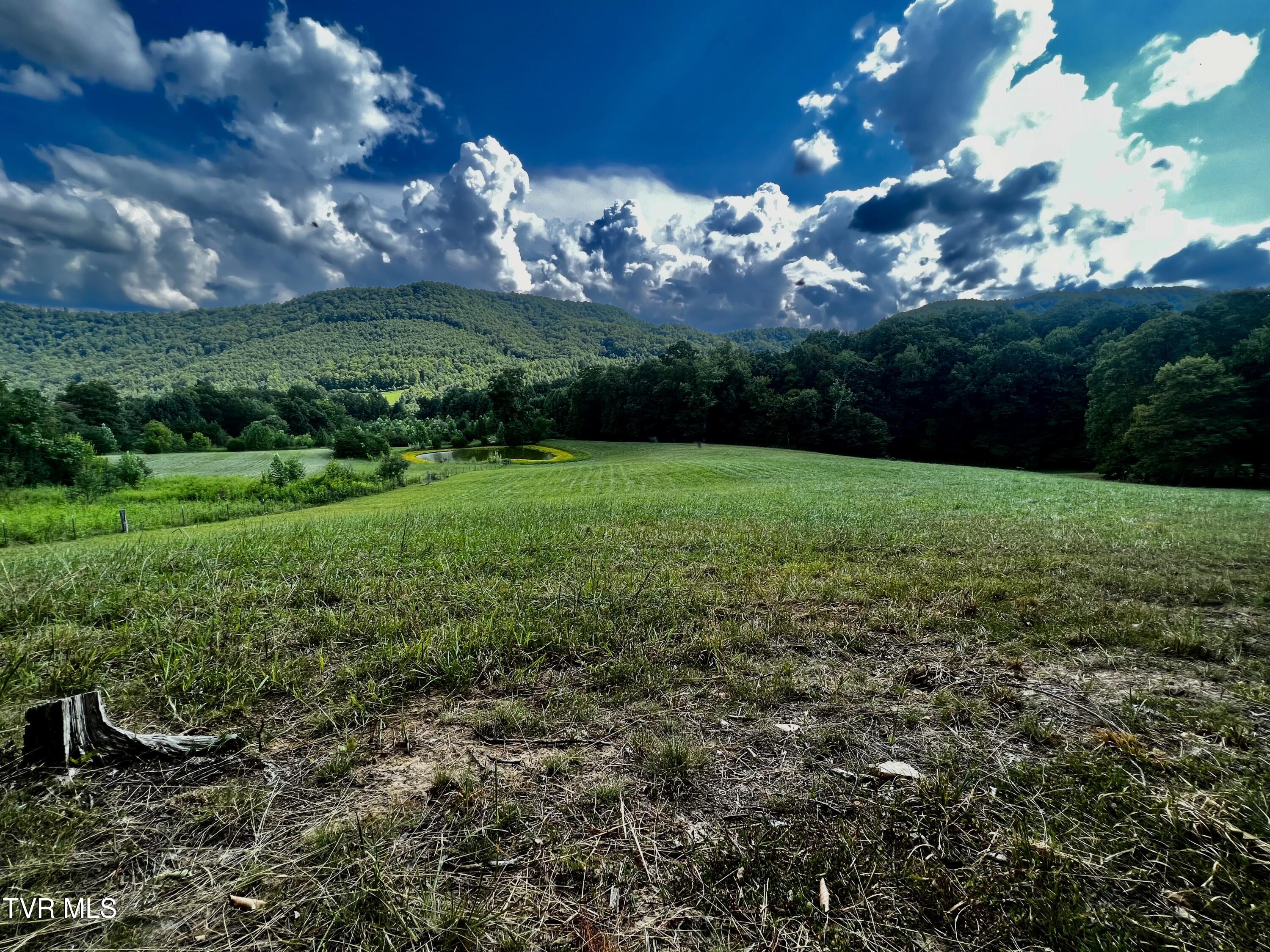 11/Ac Tbd Houston Valley Road, Greeneville, Tennessee image 10