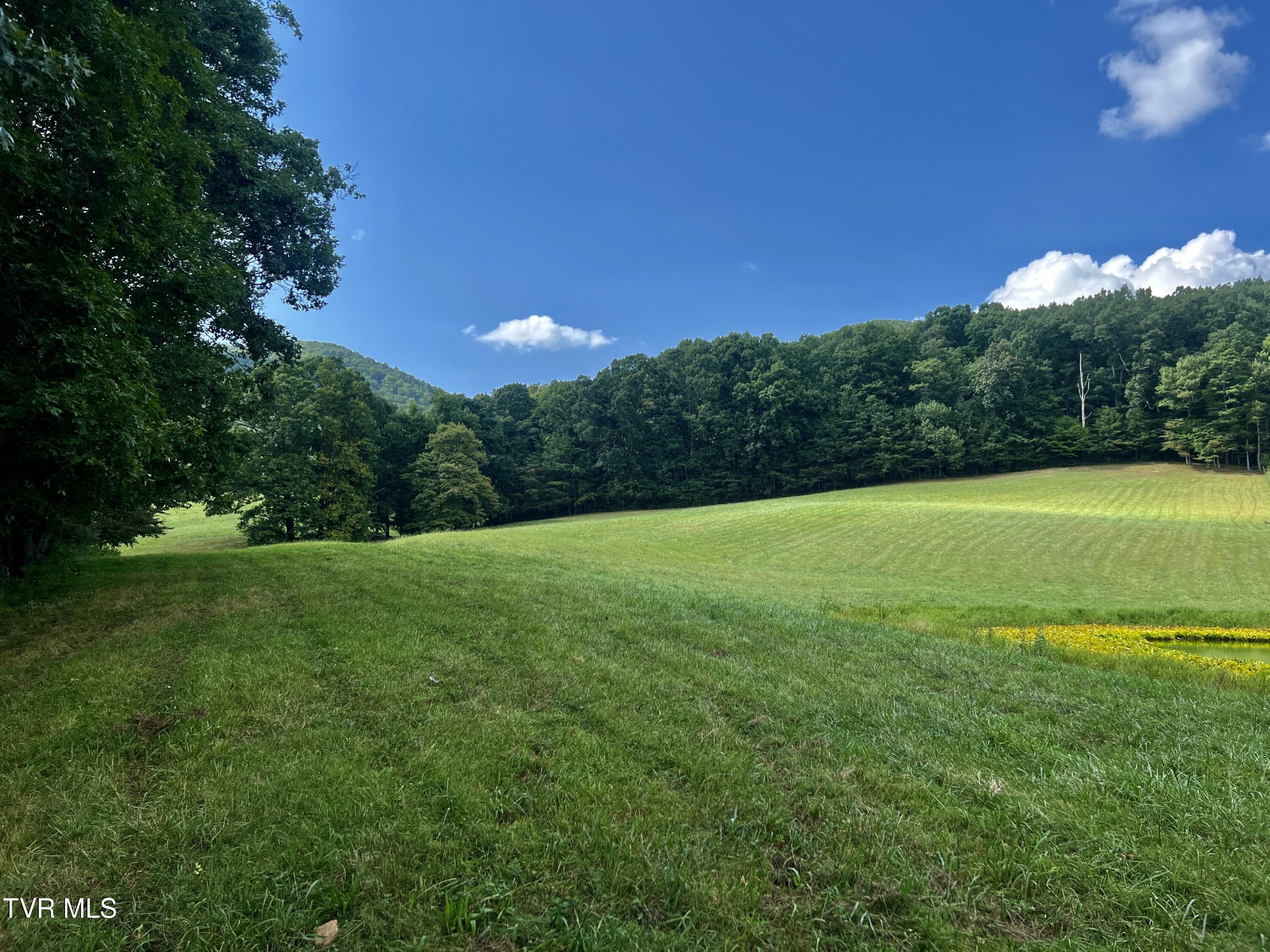 11/Ac Tbd Houston Valley Road, Greeneville, Tennessee image 18