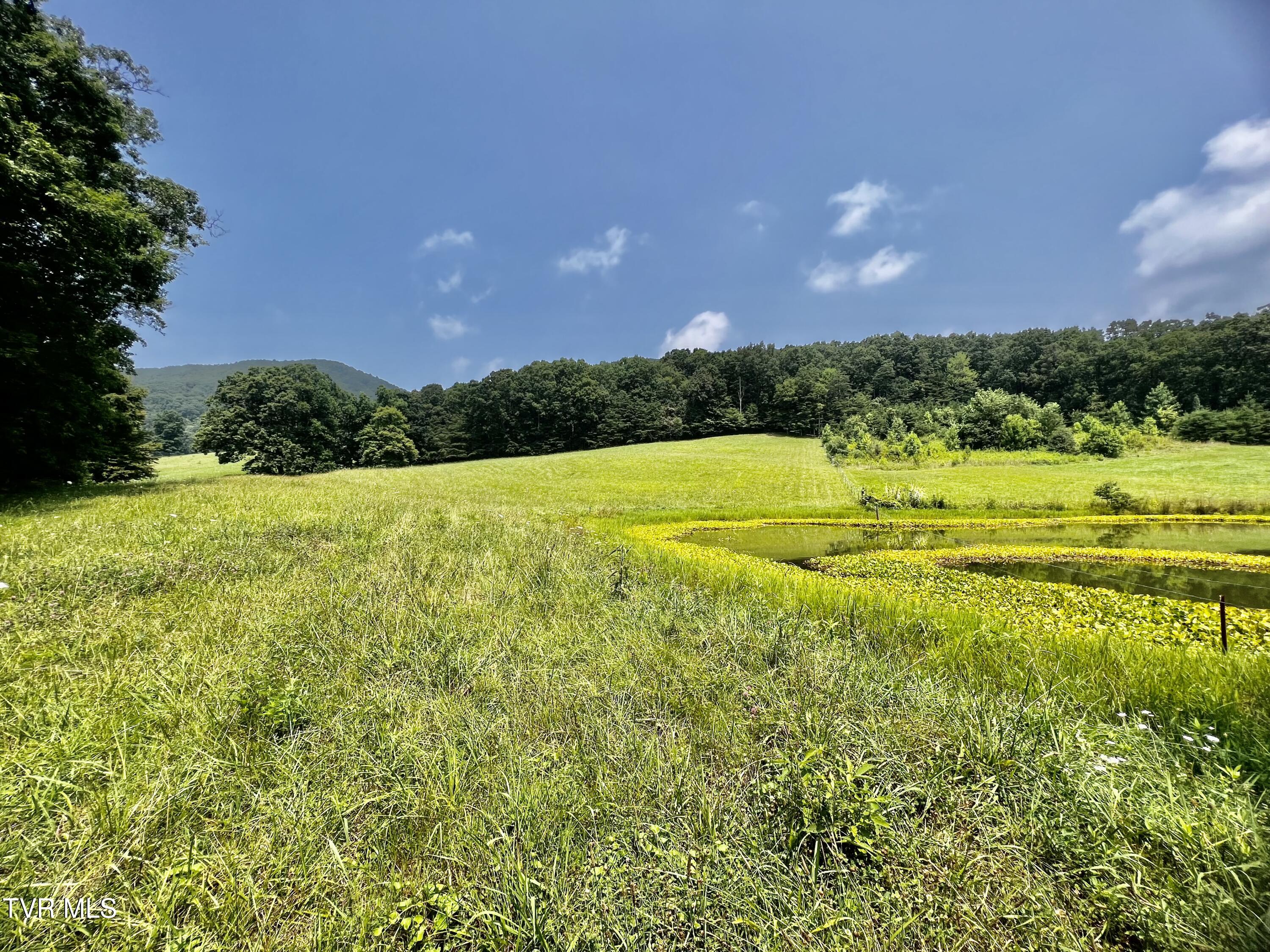 11/Ac Tbd Houston Valley Road, Greeneville, Tennessee image 8
