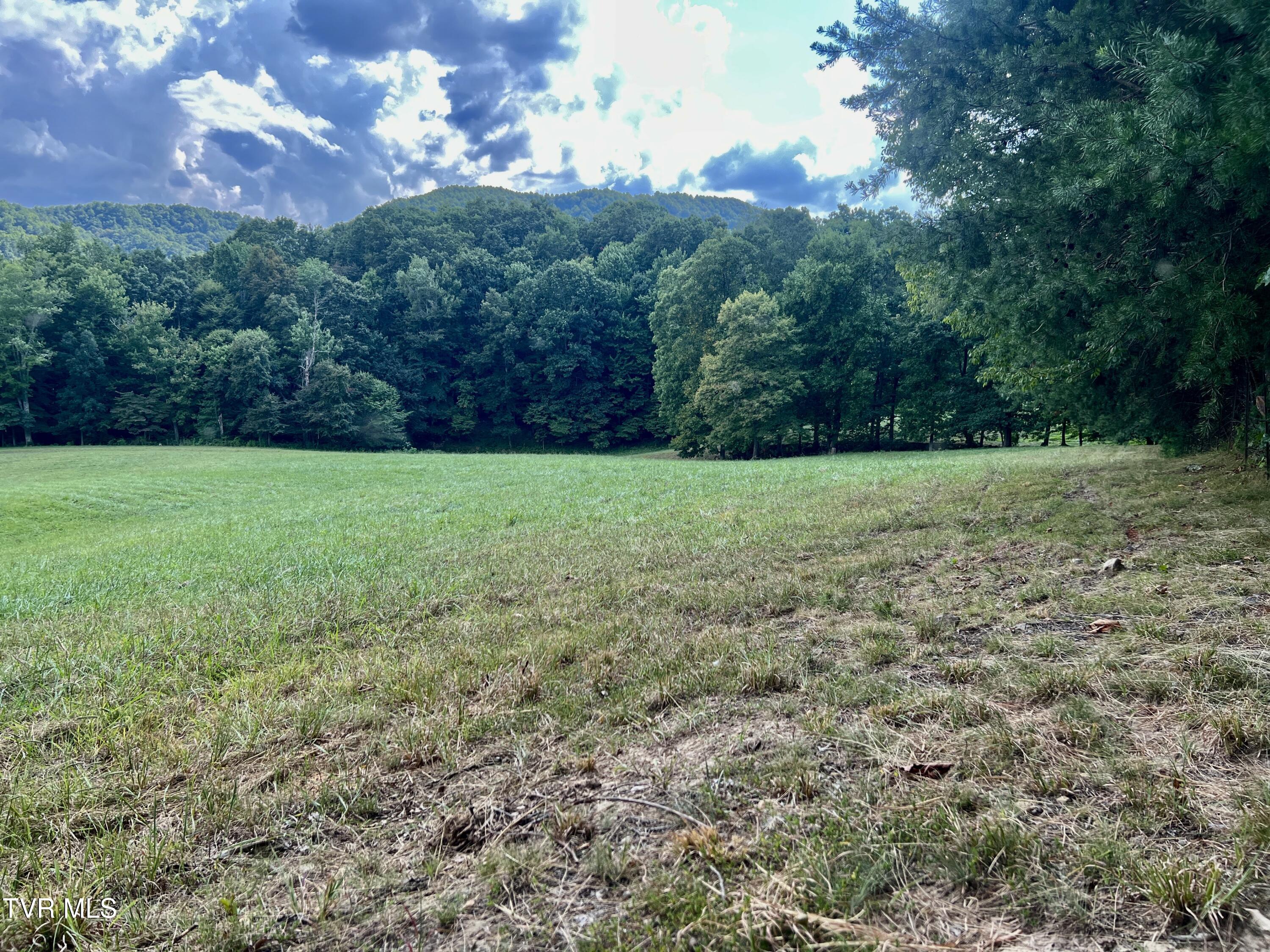 11/Ac Tbd Houston Valley Road, Greeneville, Tennessee image 13