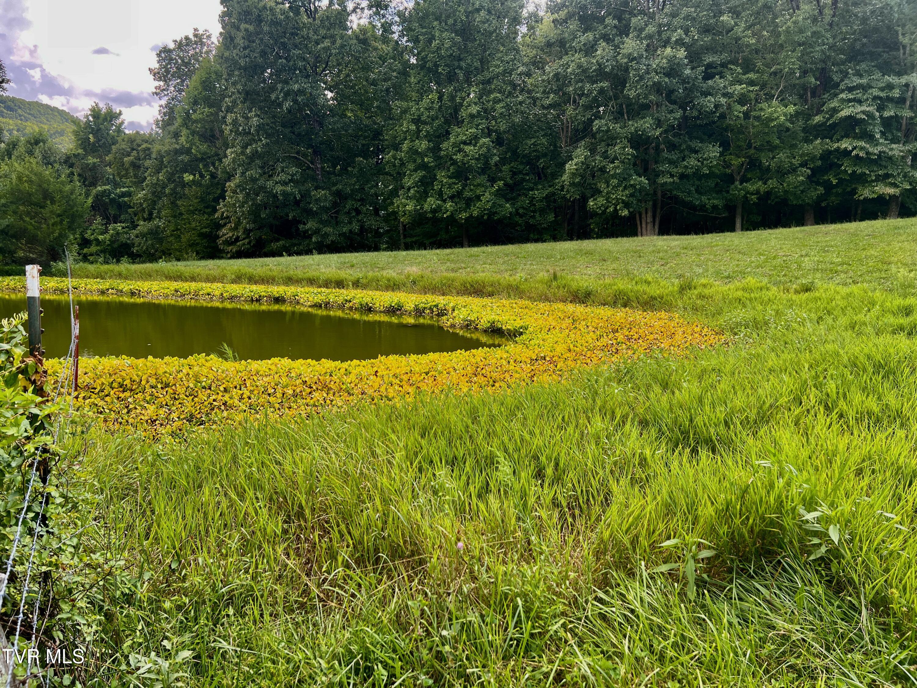 11/Ac Tbd Houston Valley Road, Greeneville, Tennessee image 20