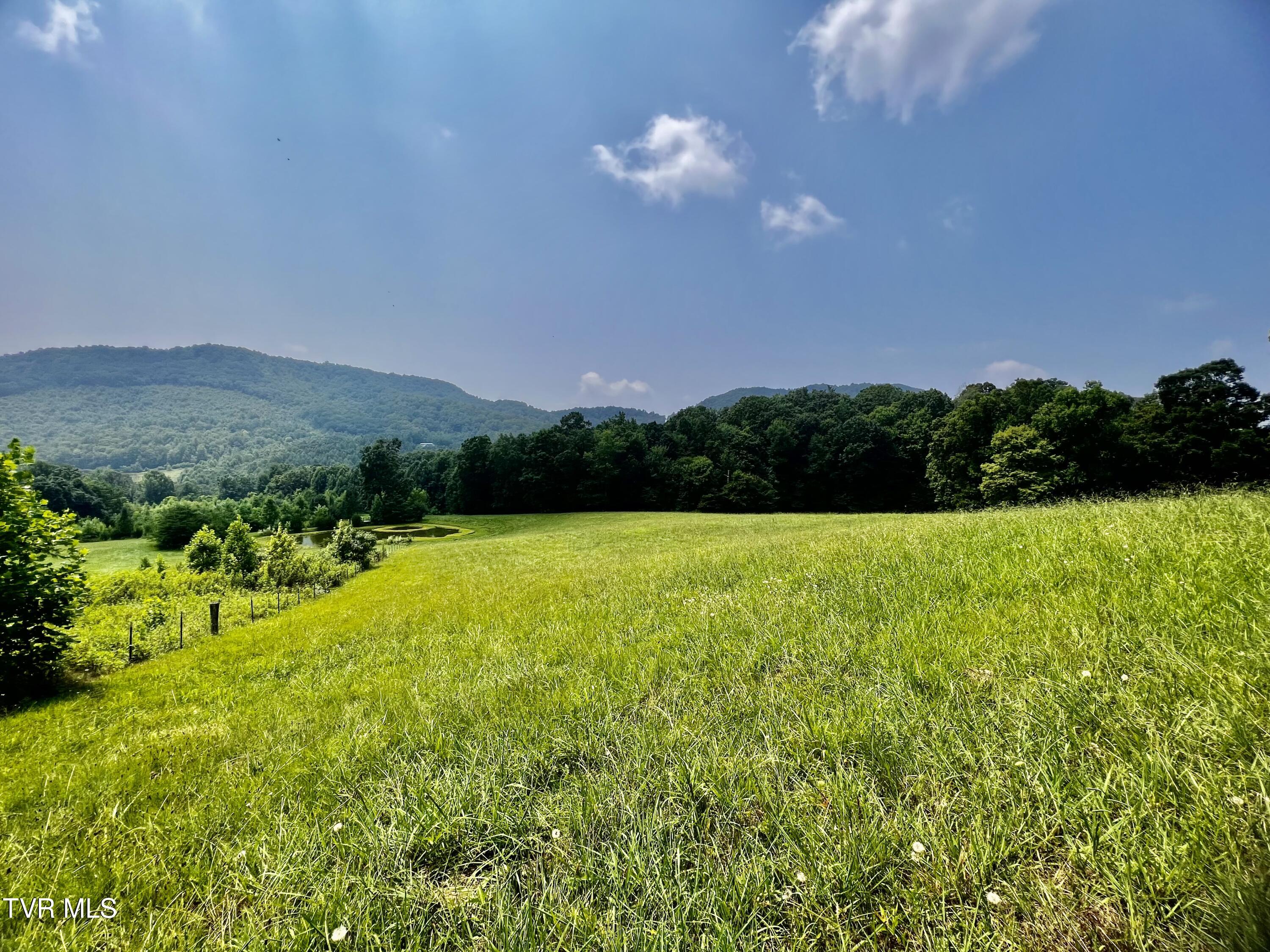 11/Ac Tbd Houston Valley Road, Greeneville, Tennessee image 3