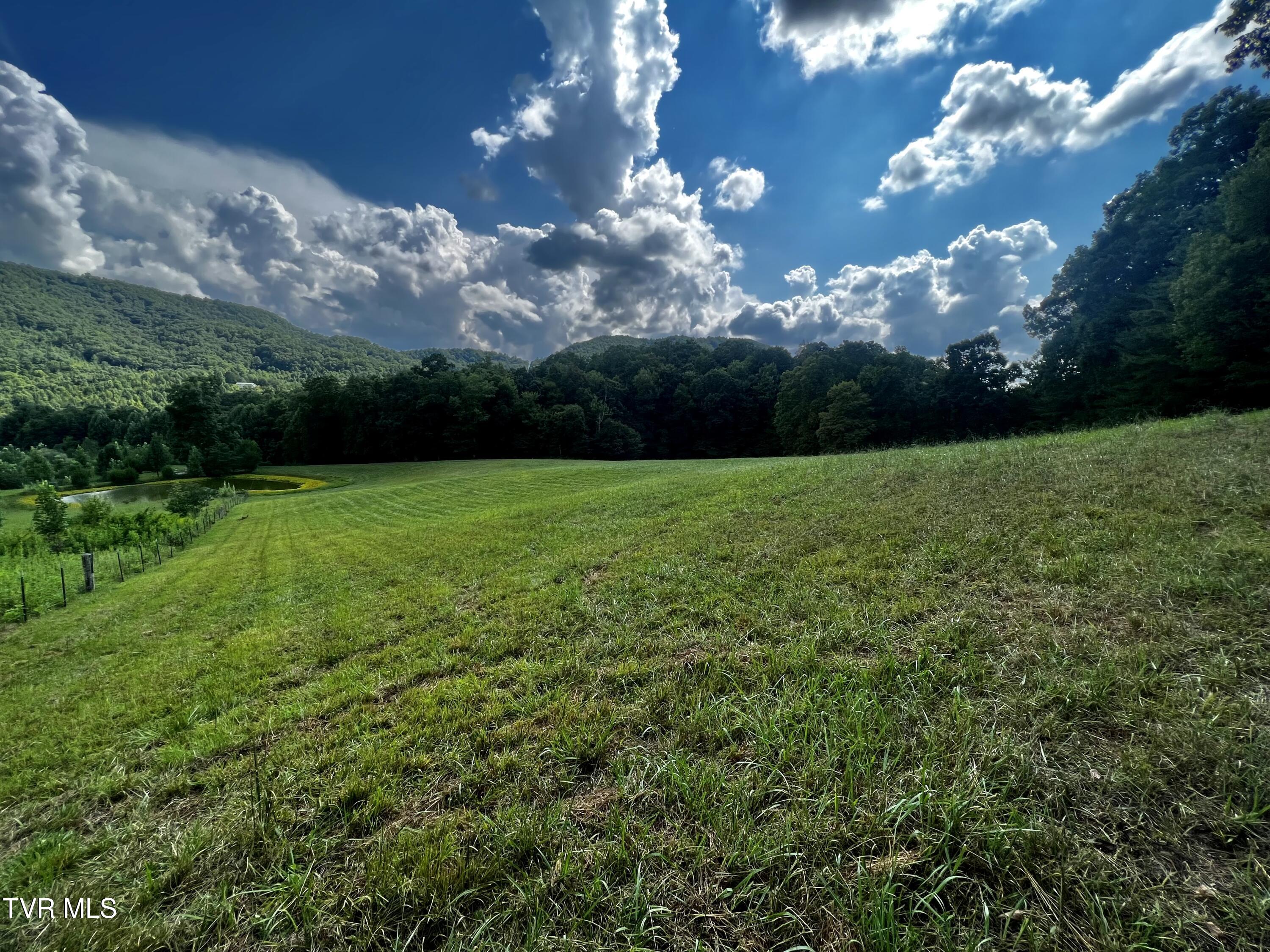 11/Ac Tbd Houston Valley Road, Greeneville, Tennessee image 22