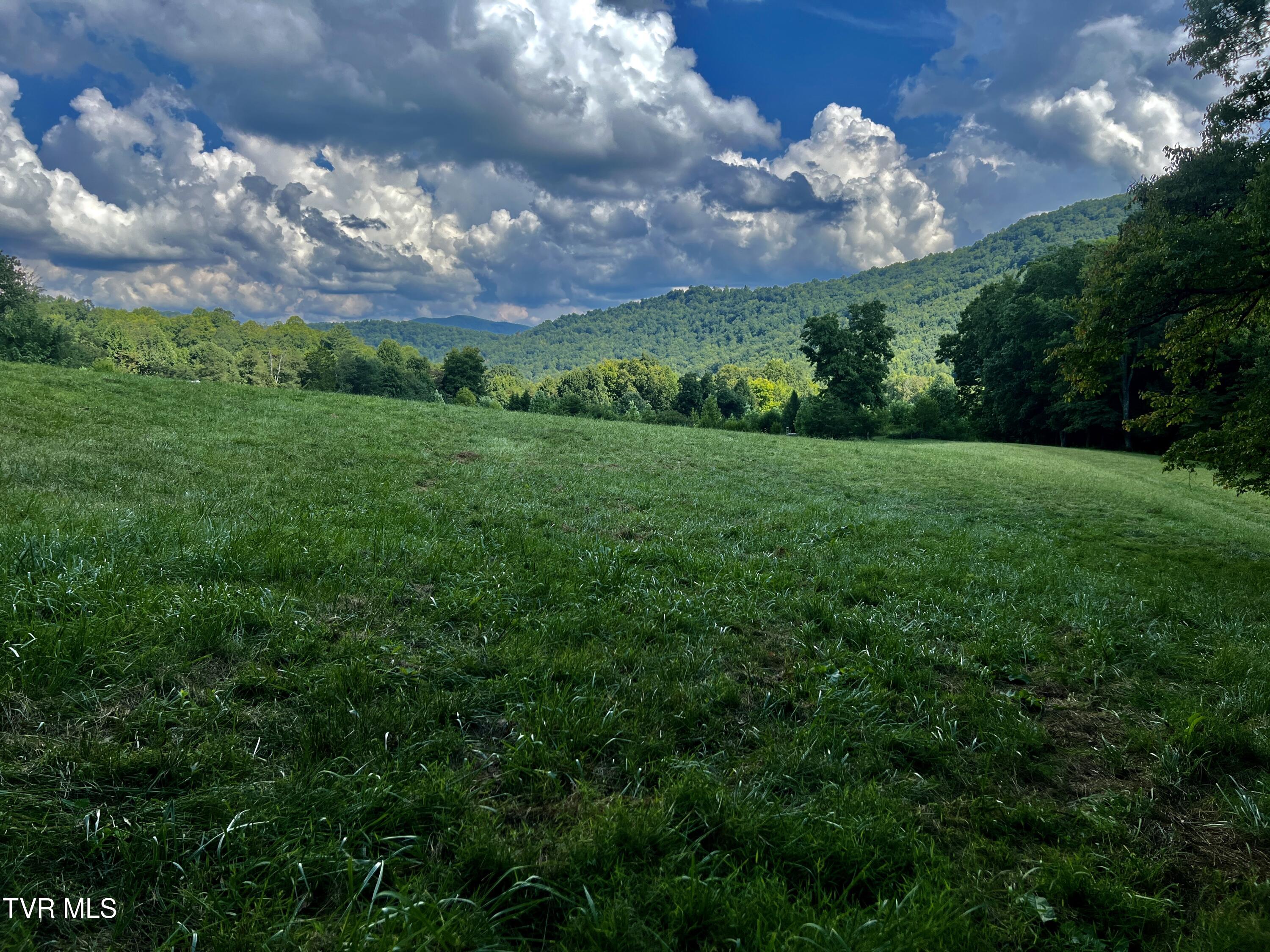 11/Ac Tbd Houston Valley Road, Greeneville, Tennessee image 11