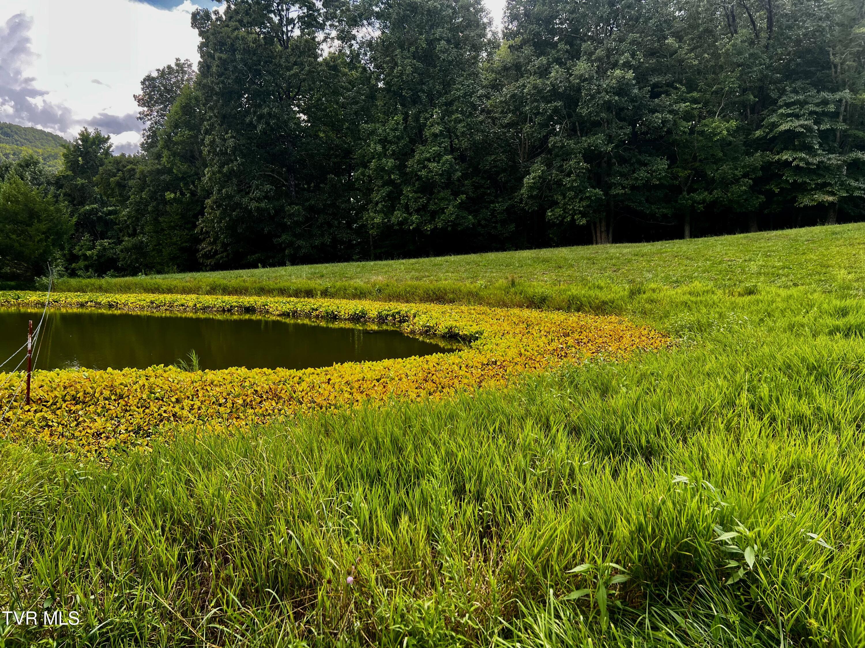 11/Ac Tbd Houston Valley Road, Greeneville, Tennessee image 6