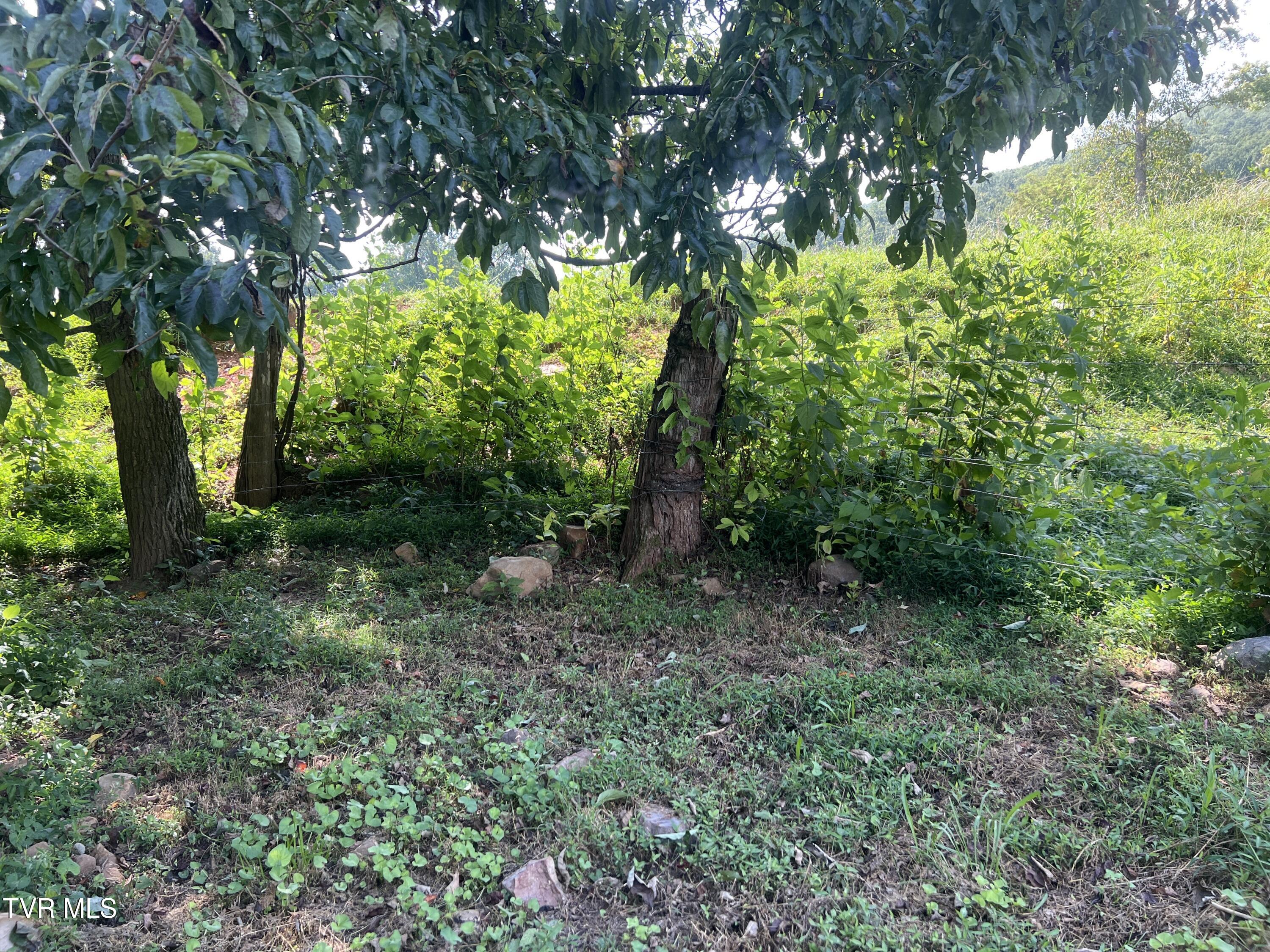 11/Ac Tbd Houston Valley Road, Greeneville, Tennessee image 26