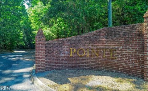 Vacant Land For Sale - LOT 55 Brooks Pointe Drive<br/> Rogersville, TN 37857