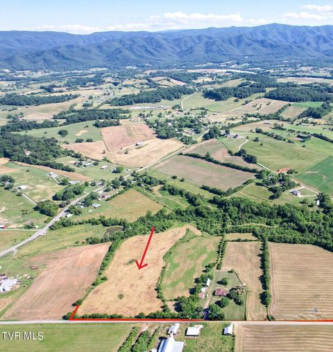 Vacant Land For Sale - 15.59 AC Lester Snapp Road<br/> Limestone, TN 37681