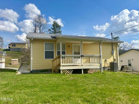 144 Kitty Cole Lane Dungannon VA 24245