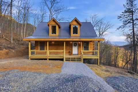 Photo of 954 Glasgow Street, Sevierville, TN 37876 (MLS # 9991766)