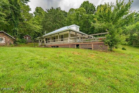 306 Bear Branch Roan Mountain TN 37687