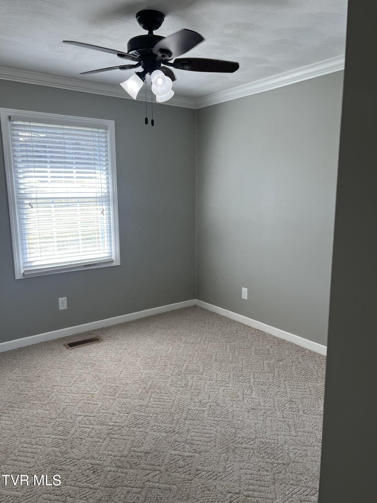 329 Jana Lane, Duffield, Virginia image 18