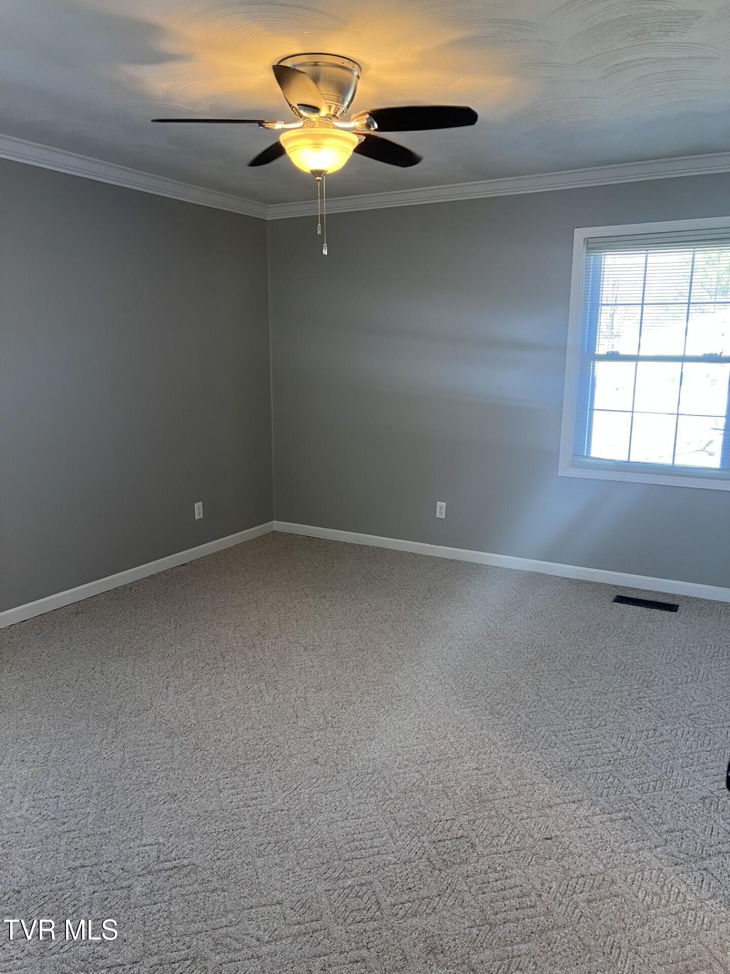 329 Jana Lane, Duffield, Virginia image 19