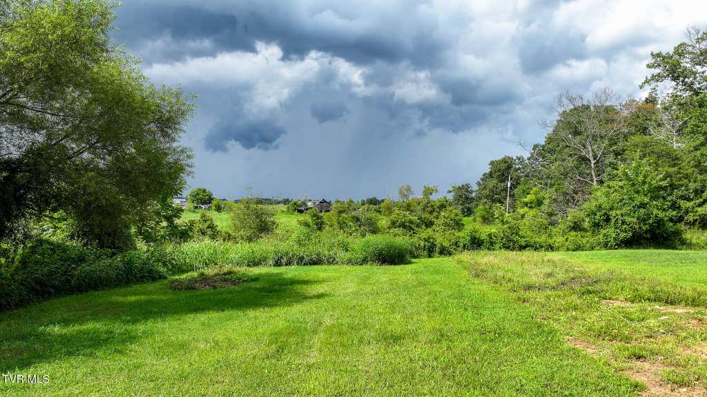Photo of 138 Logan Lane, Whitesburg, TN 37891 (MLS # 9999880)