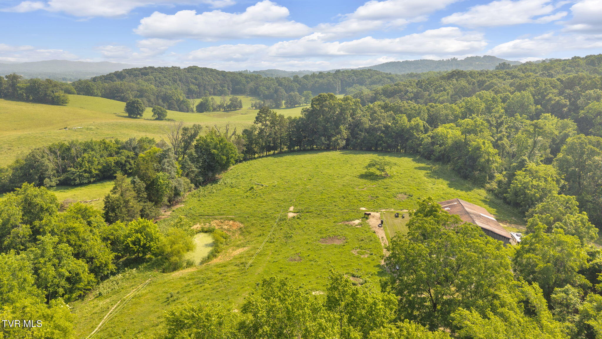 9010 Blue Springs Parkway, Mosheim, Tennessee image 15
