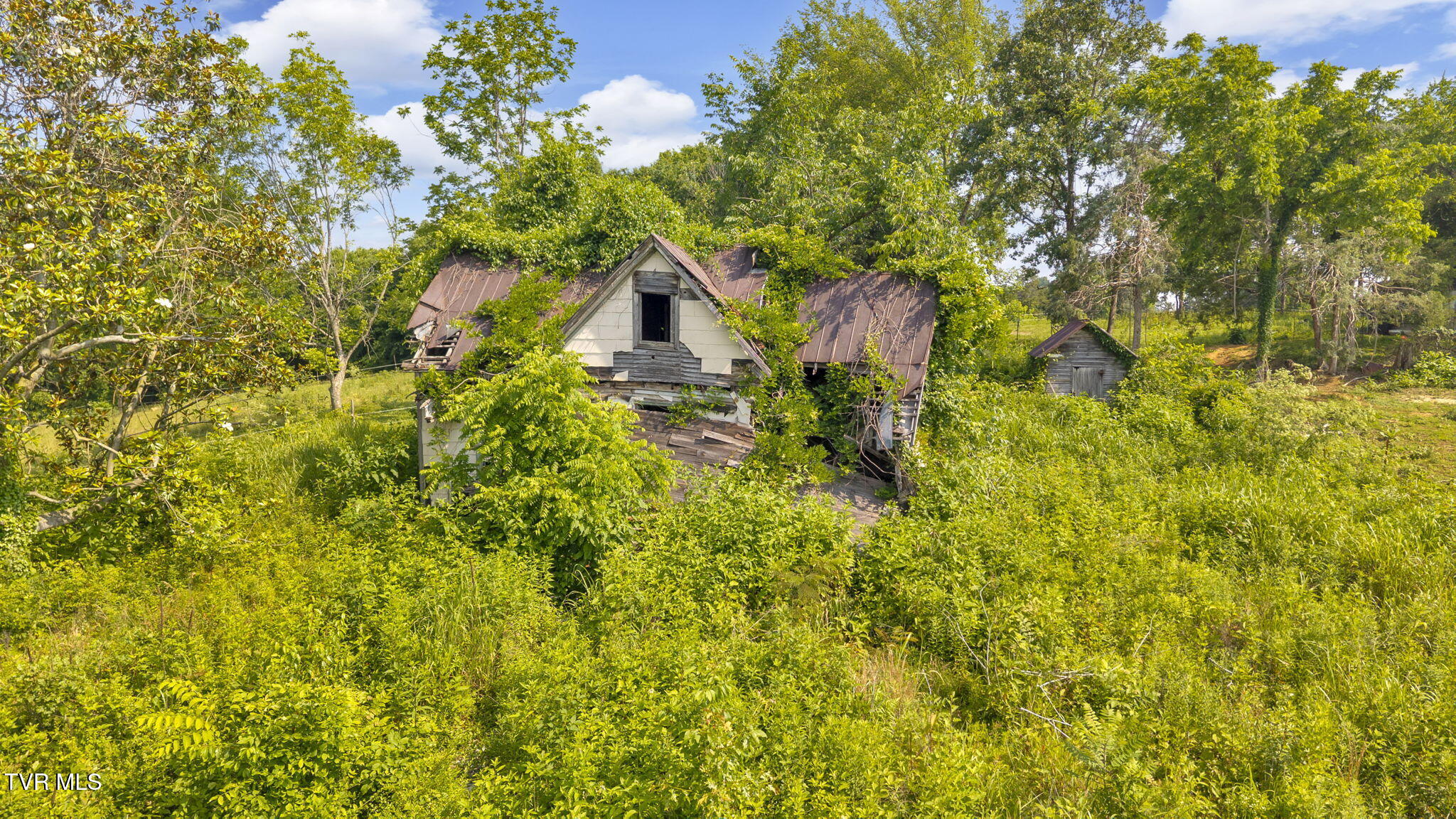 9010 Blue Springs Parkway, Mosheim, Tennessee image 18