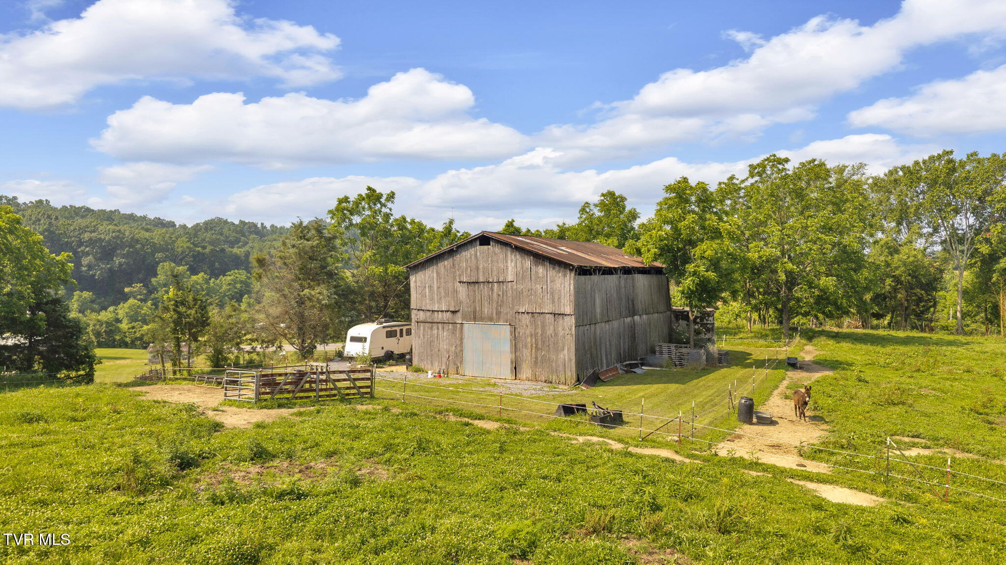 9010 Blue Springs Parkway, Mosheim, Tennessee image 13