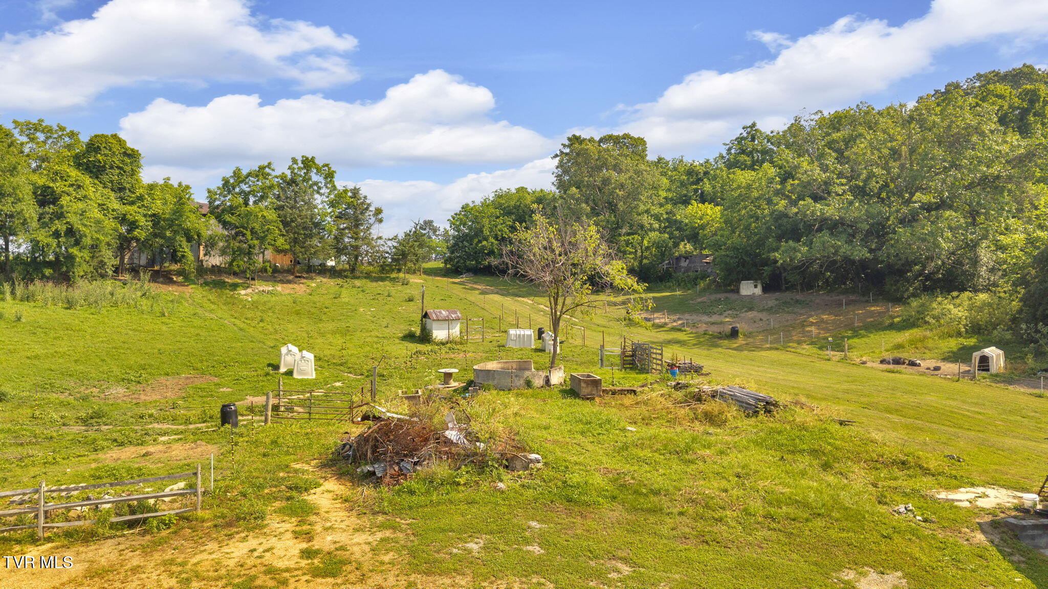 9010 Blue Springs Parkway, Mosheim, Tennessee image 21