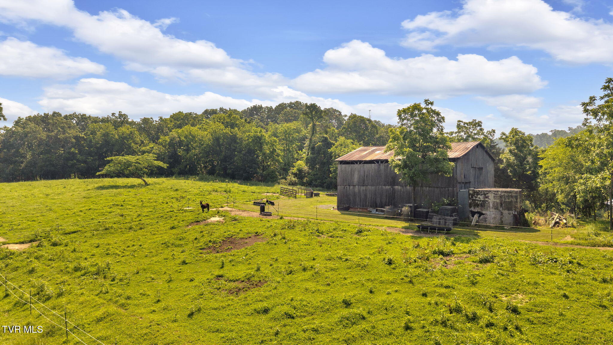 9010 Blue Springs Parkway, Mosheim, Tennessee image 14