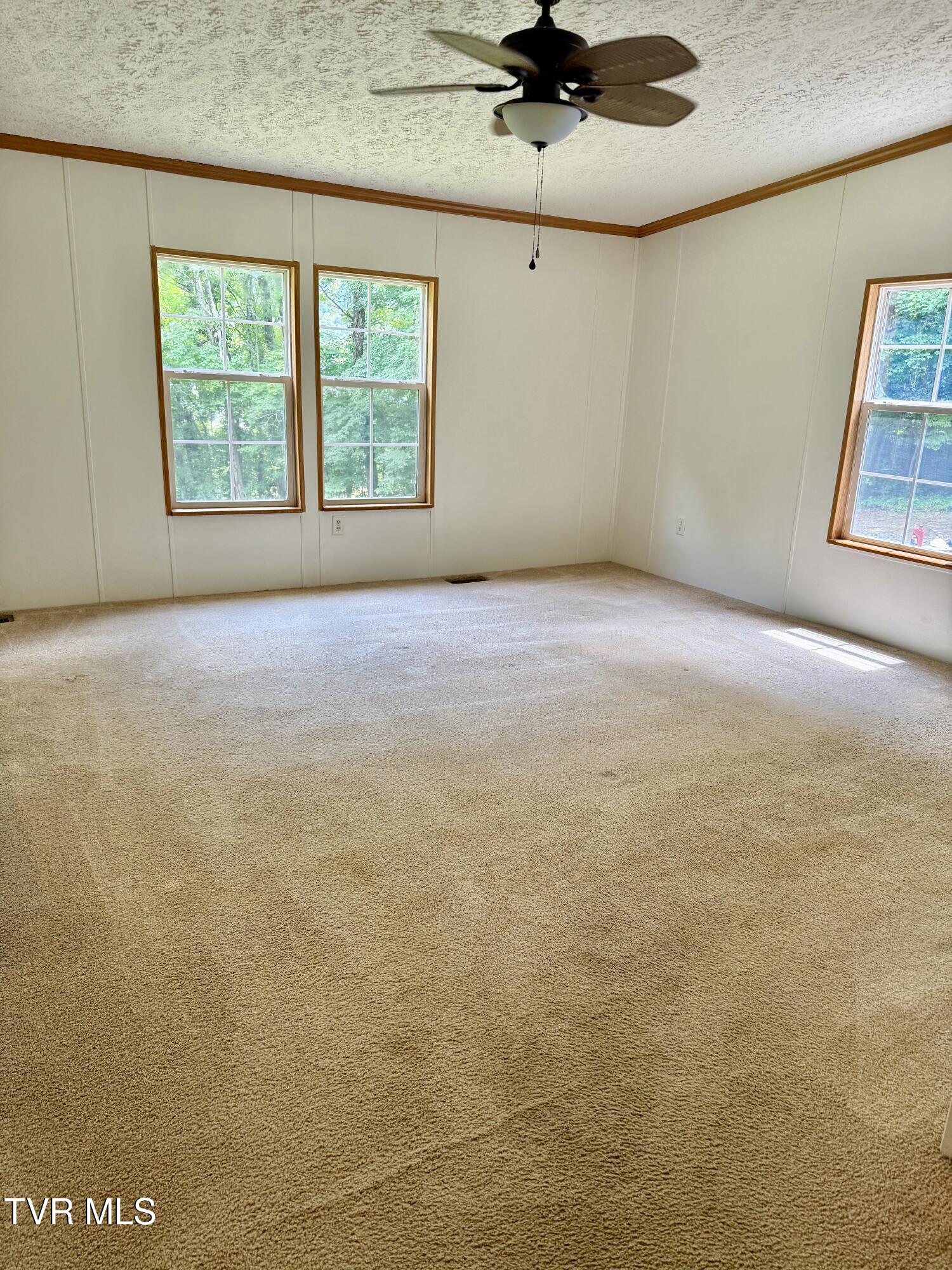 1761 Corby Bridge Road, Chuckey, Tennessee image 17