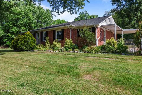 Photo of 744 Austin Springs Road, Johnson City, TN 37601 (MLS # 9995806)