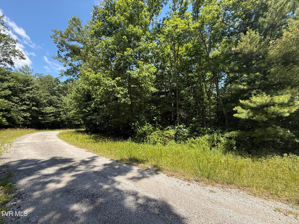 Photo of 1053 Chanute Trail, Crossville, TN 38572 (MLS # 9997243)