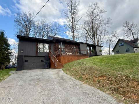 Photo of 106 Revere Circle, Elizabethton, TN 37643 (MLS # 9993258)
