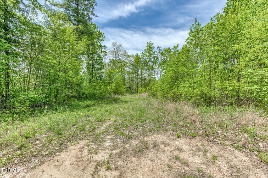 Photo of 162 Murph Potter Lane, Roan Mountain, TN 37687 (MLS # 9994990)