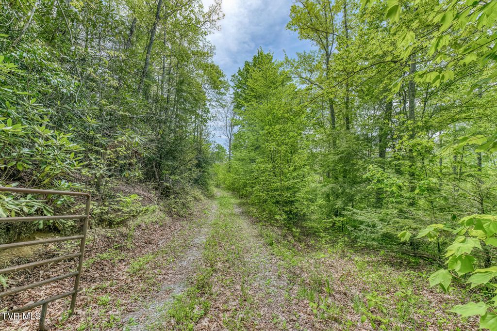 Photo of 162 Murph Potter Lane, Roan Mountain, TN 37687 (MLS # 9994990)