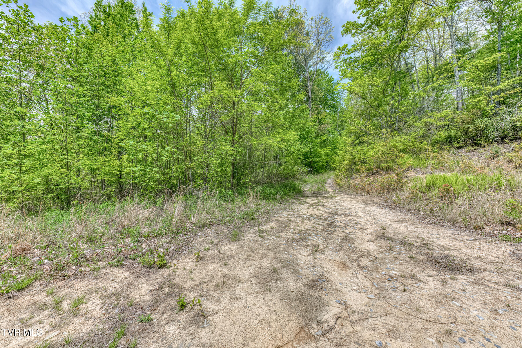 162 Murph Potter Lane