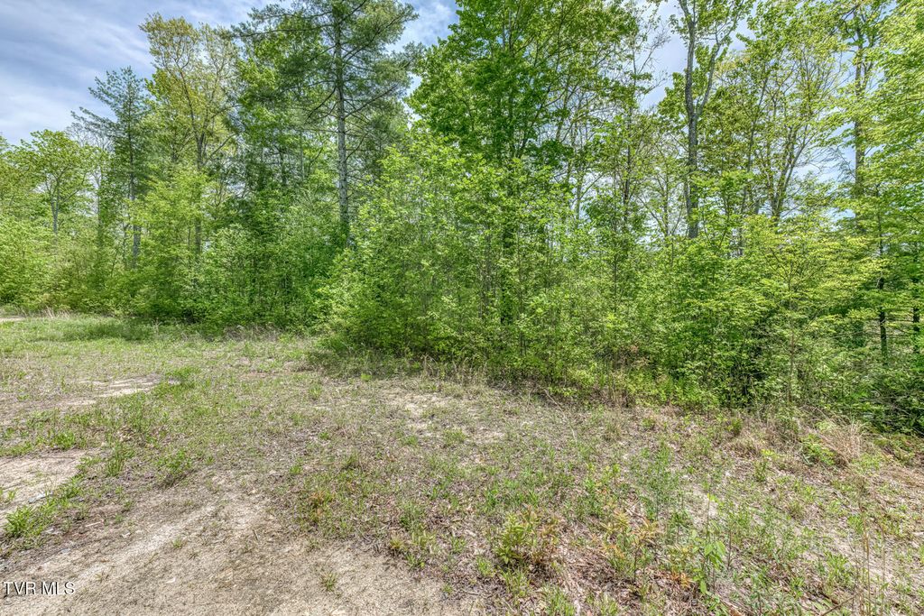 Photo of 162 Murph Potter Lane, Roan Mountain, TN 37687 (MLS # 9994990)