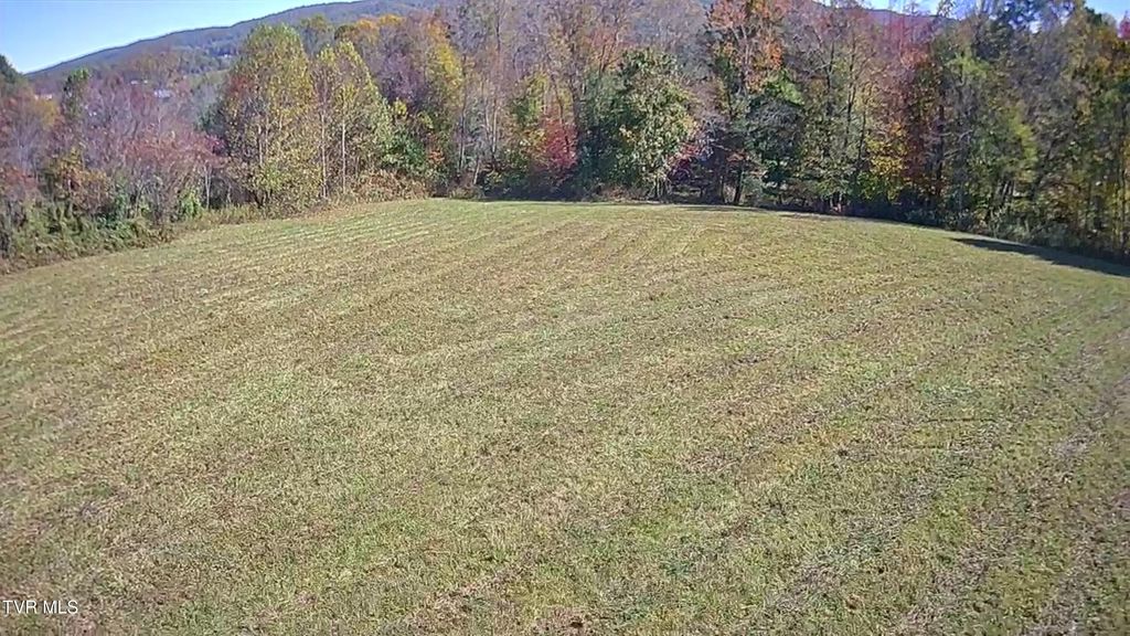 Photo of 332 Hopper Road, Shady Valley, TN 37688 (MLS # 9987020)